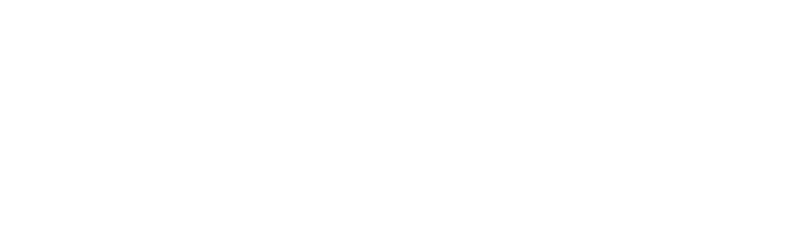 Brivci & Co.